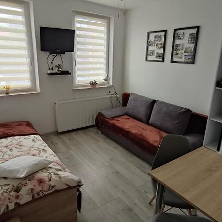 Apartament "Jelen" Cieplice Apartment Jelenia Gora Bagian luar foto